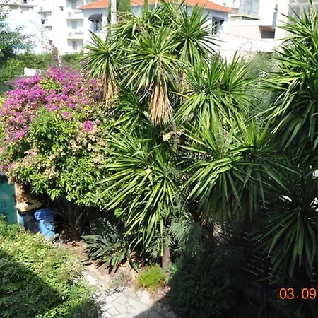 Alexandre Iii Cannes